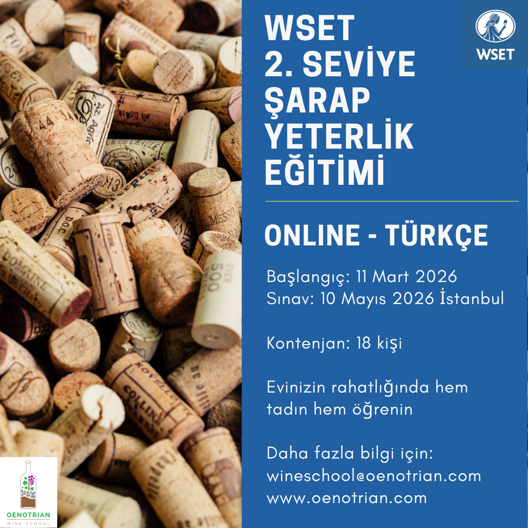 WSET 2 MAY 2024 (3).png