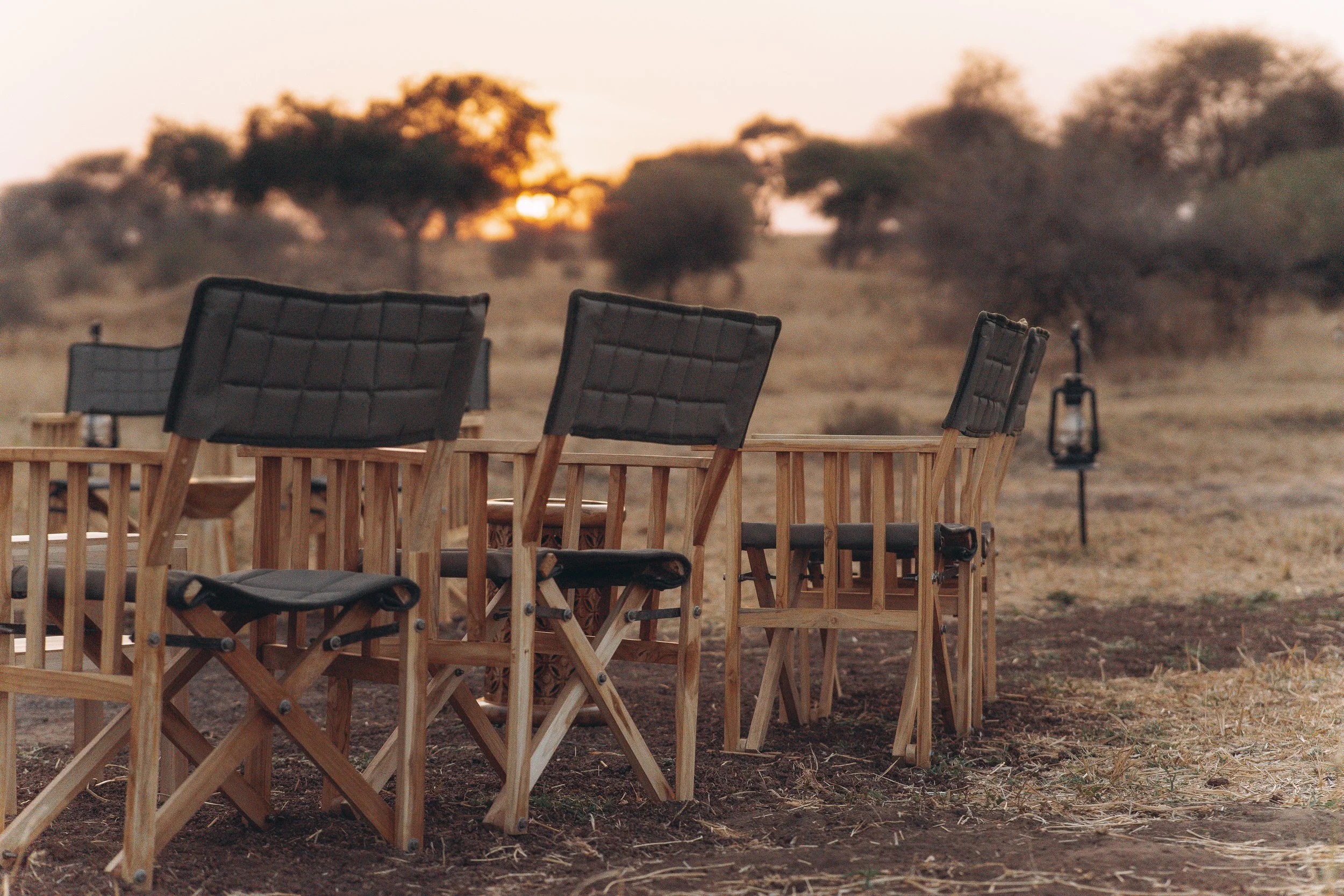 Luxury safari bush breakfast setup under a tree in the African savannah with 4x4 vehicle and scenic wilderness views.
