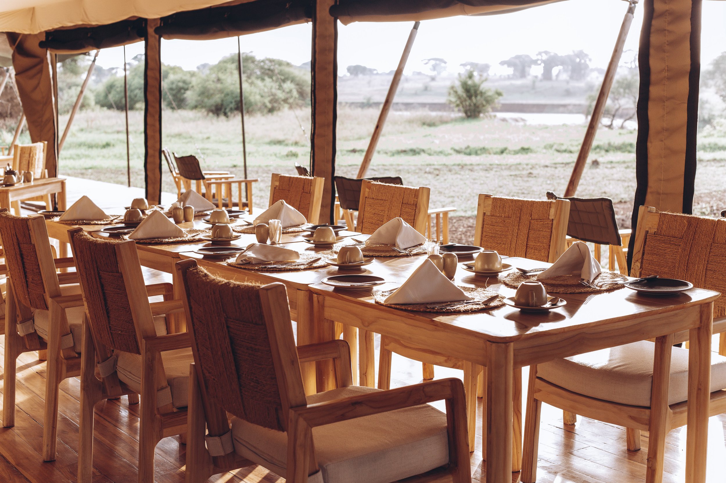 Luxury safari bush breakfast setup under a tree in the African savannah with 4x4 vehicle and scenic wilderness views.