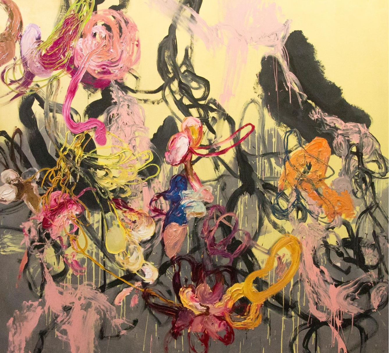 Screenshot 2026-02-20 at 12.08.26.png