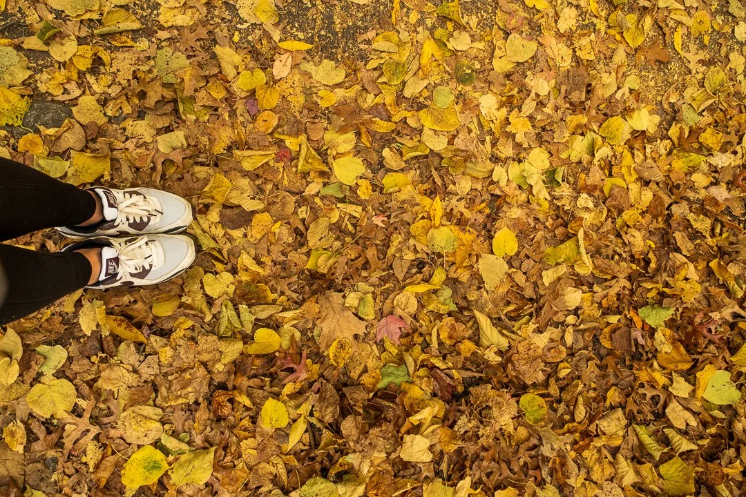Person standing on a ground covered with fallen autumn leaves, wearing white sneakers and black pants.