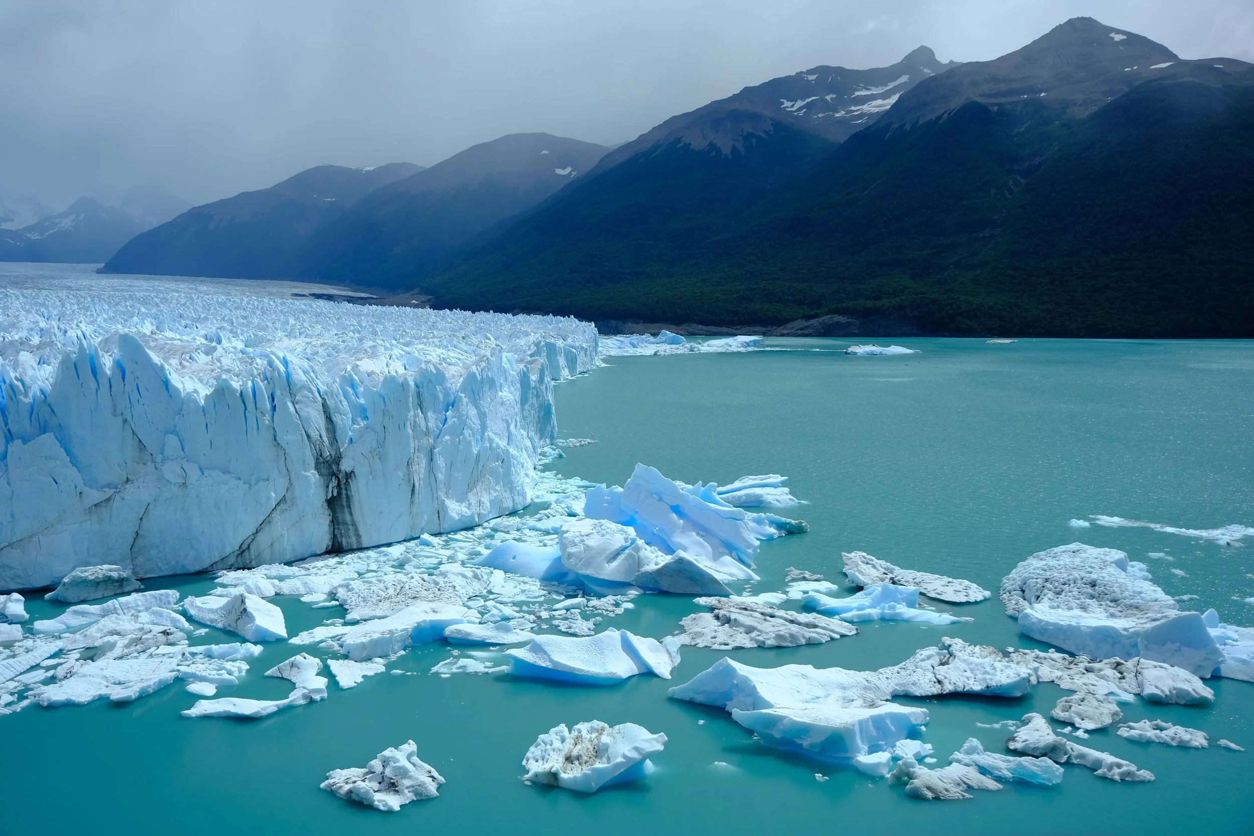 Anne Muntuerto  - -1-386.jpg