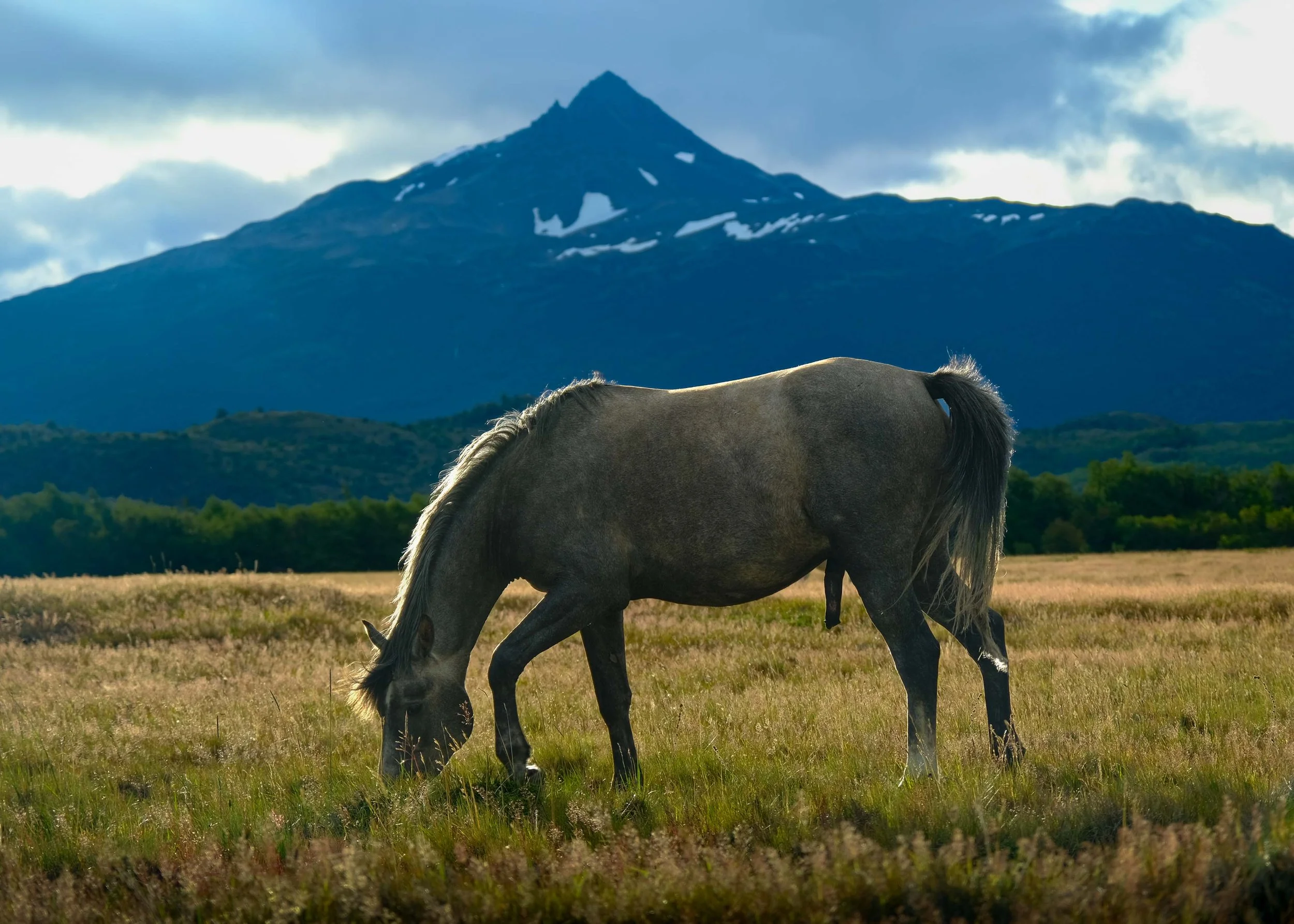 Anne Muntuerto  - -9.jpg