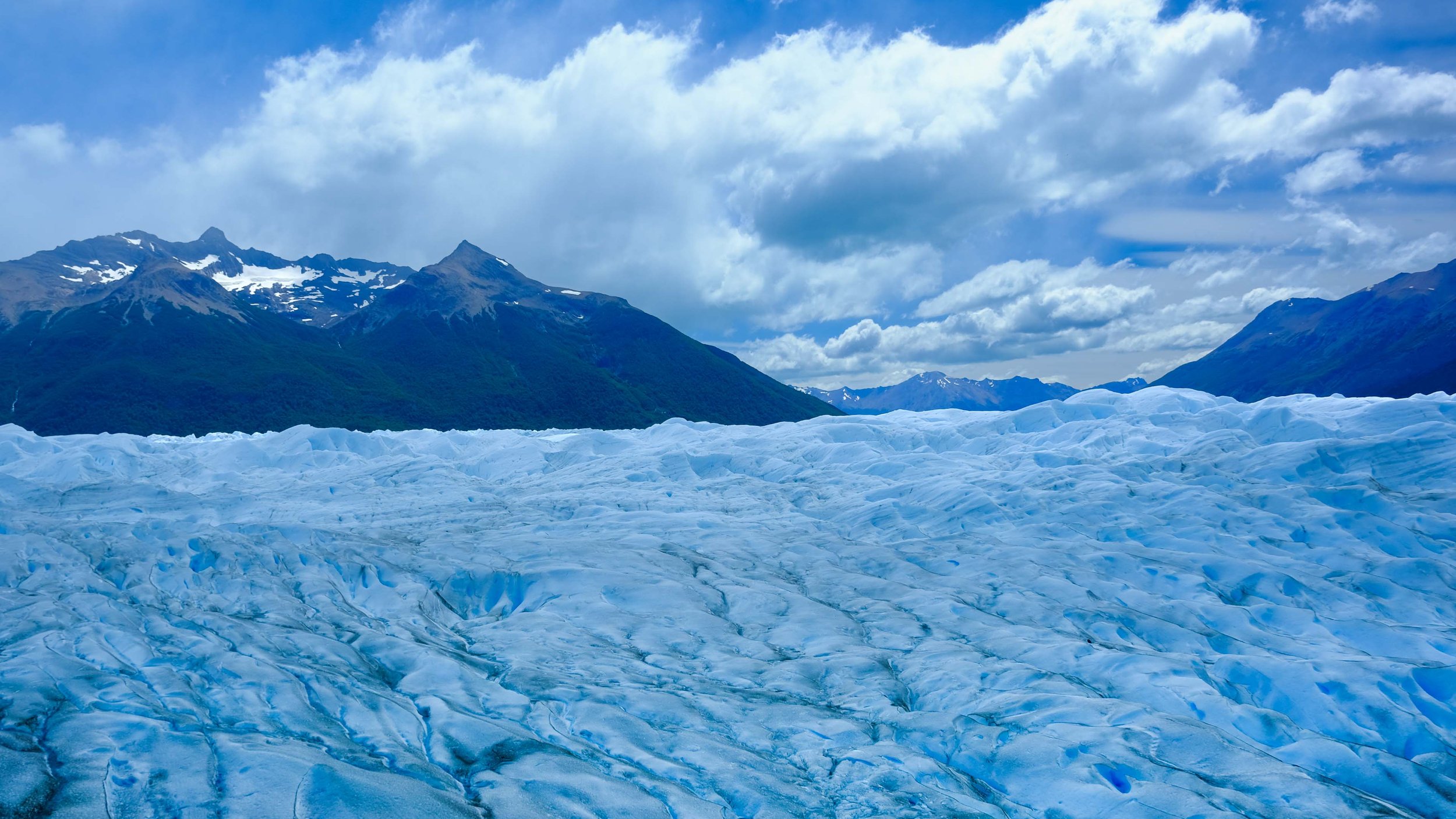 Anne Muntuerto  - -8-7.jpg