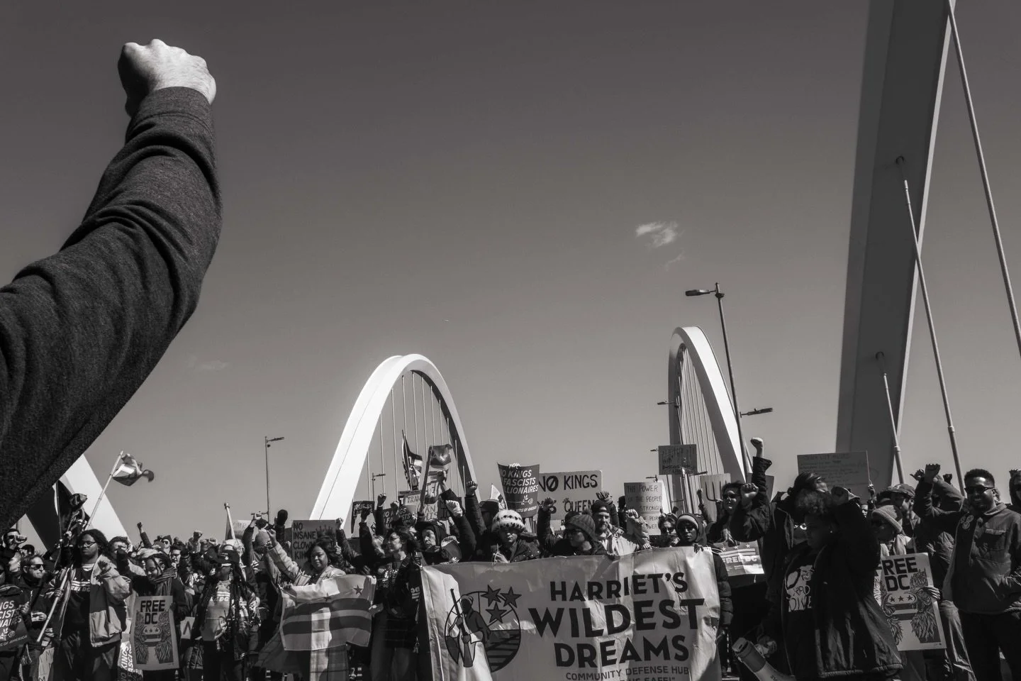DC showed up&hellip; #nokings 
.
.
.
.
.
#nokingsday #igdc #dc_spc #streetphoto_bnw