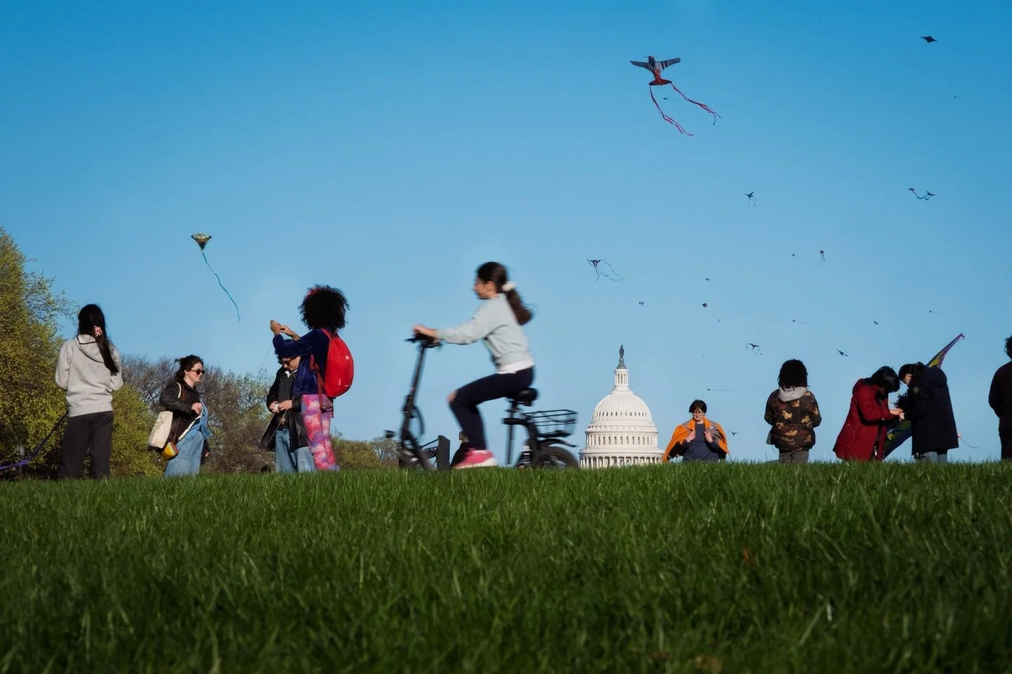 Saturday in DC&hellip; A sky full of kites. A ground full of voices. 
.
.
.
.
.
.
#igdc #nationalmall #dccreatives #dc_spc #nokingsday