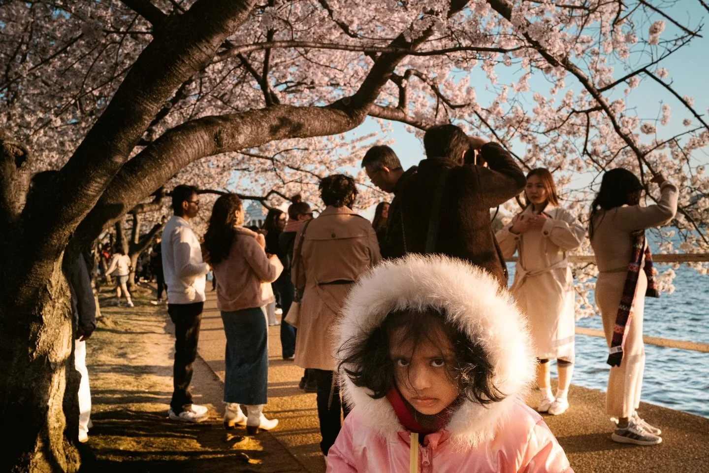 Came for the blossoms , stayed for the people watching. 🌸📸
.
.
.
.
.
.
.
.
.
.
#igdc #cherryblossomdc #unexp_collective #dc_spc #streetphotography_color