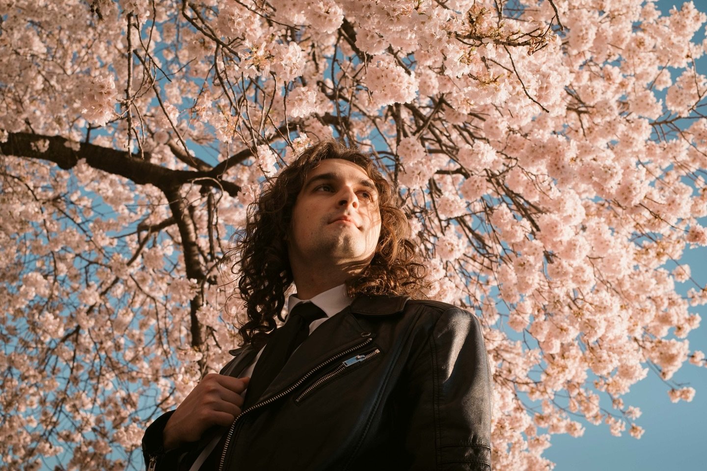 Worth the crowds tbh&hellip; 🌸 #cherryblossomdc 
.
.
.
.
.
.
.
.
.
.
#igdc #cherryblossoms #dccreatives #dc_spc_0426