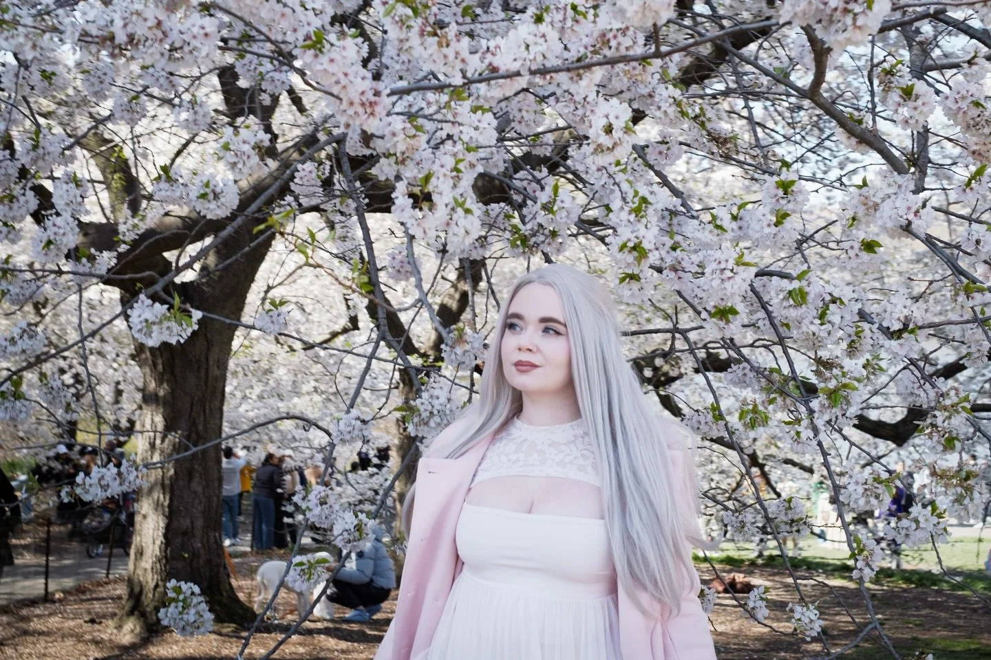Chasing blossoms in NYC&hellip; #springinthecity 
.
.
.
📍: Cherry Hill, Central Park 
.
.
.
#nycspring #unexp_collective #streetphotography_color #cherryblossomseason