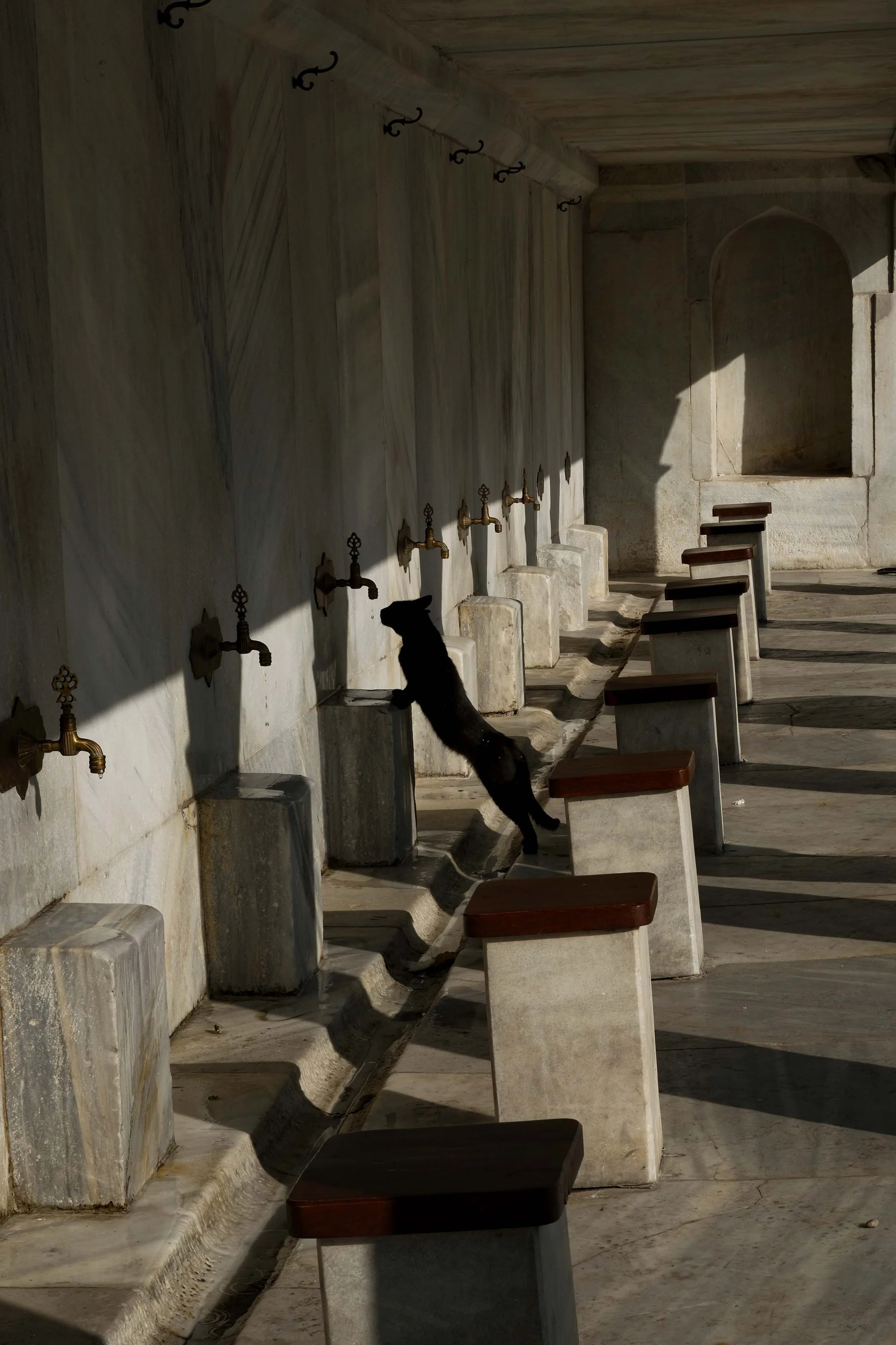 Anne Muntuerto  - -1-8.jpg