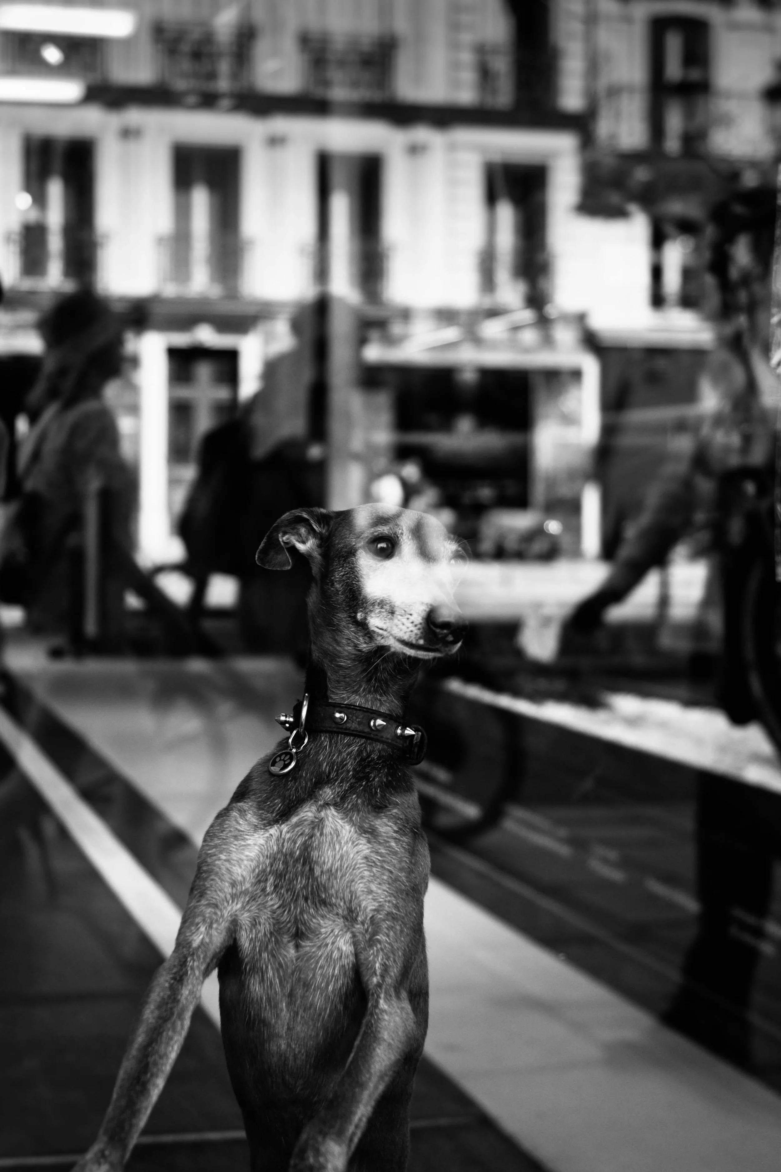 Anne Muntuerto  - -18.jpg