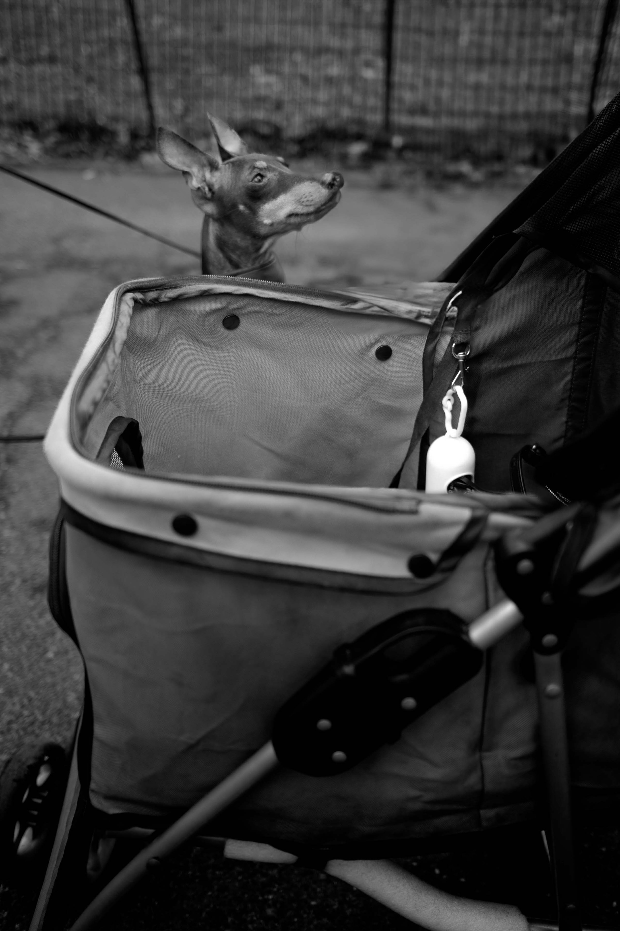 Anne Muntuerto  - -12.jpg