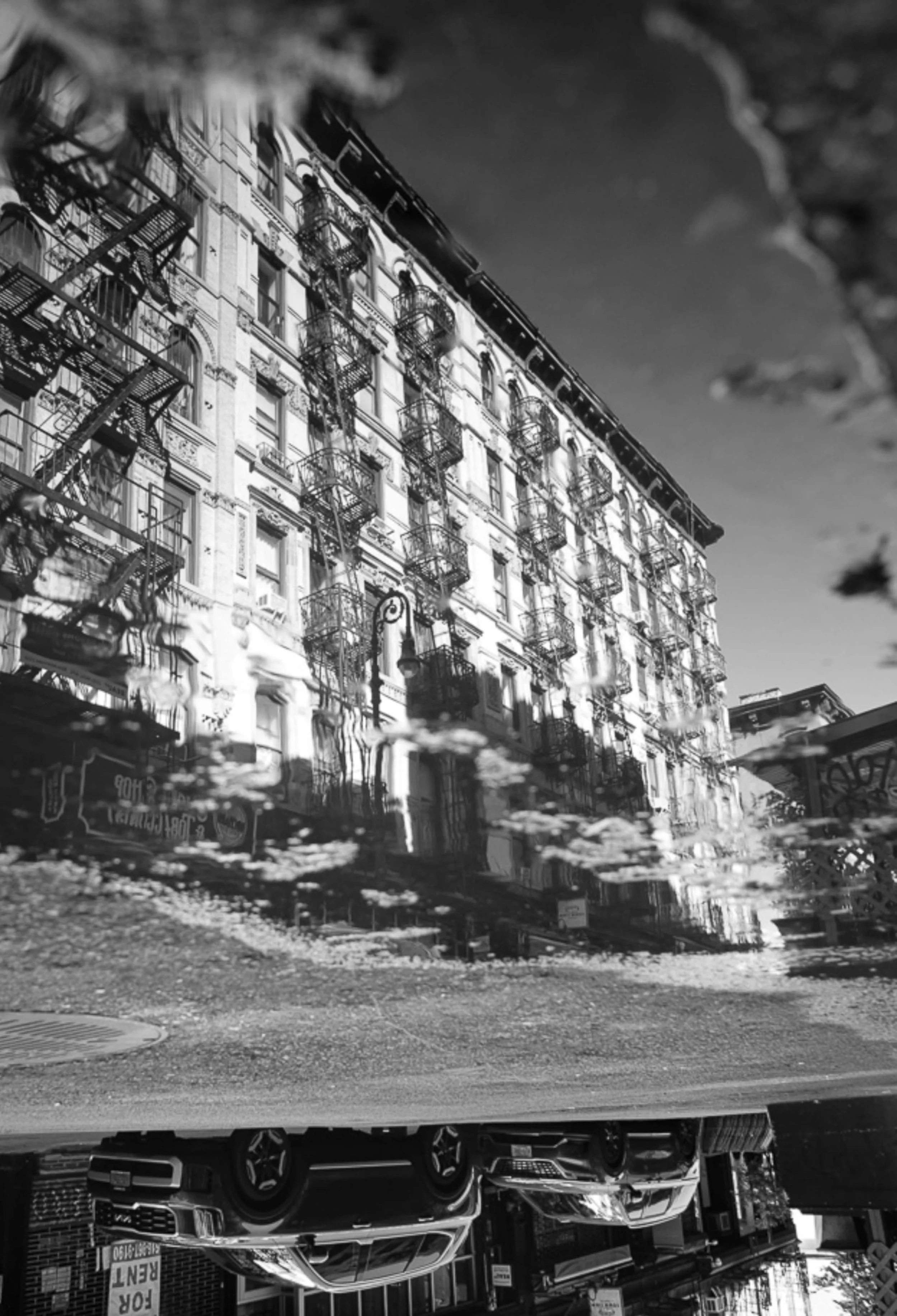 Anne Muntuerto  - -1.jpg