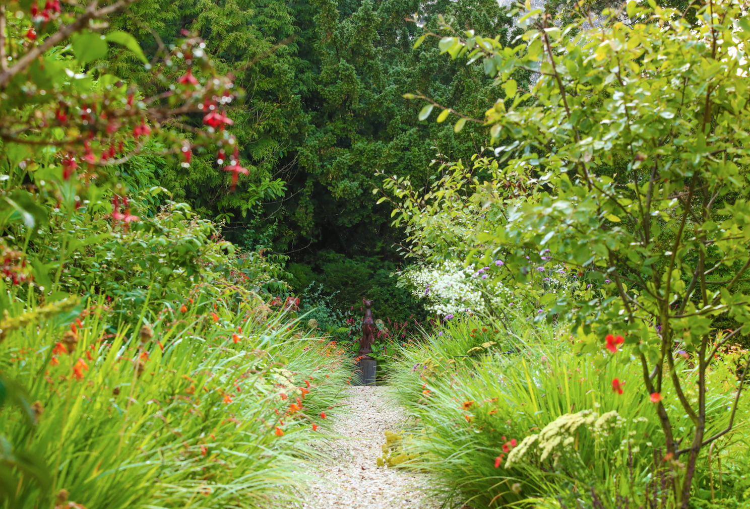 path front meadowcroft.png