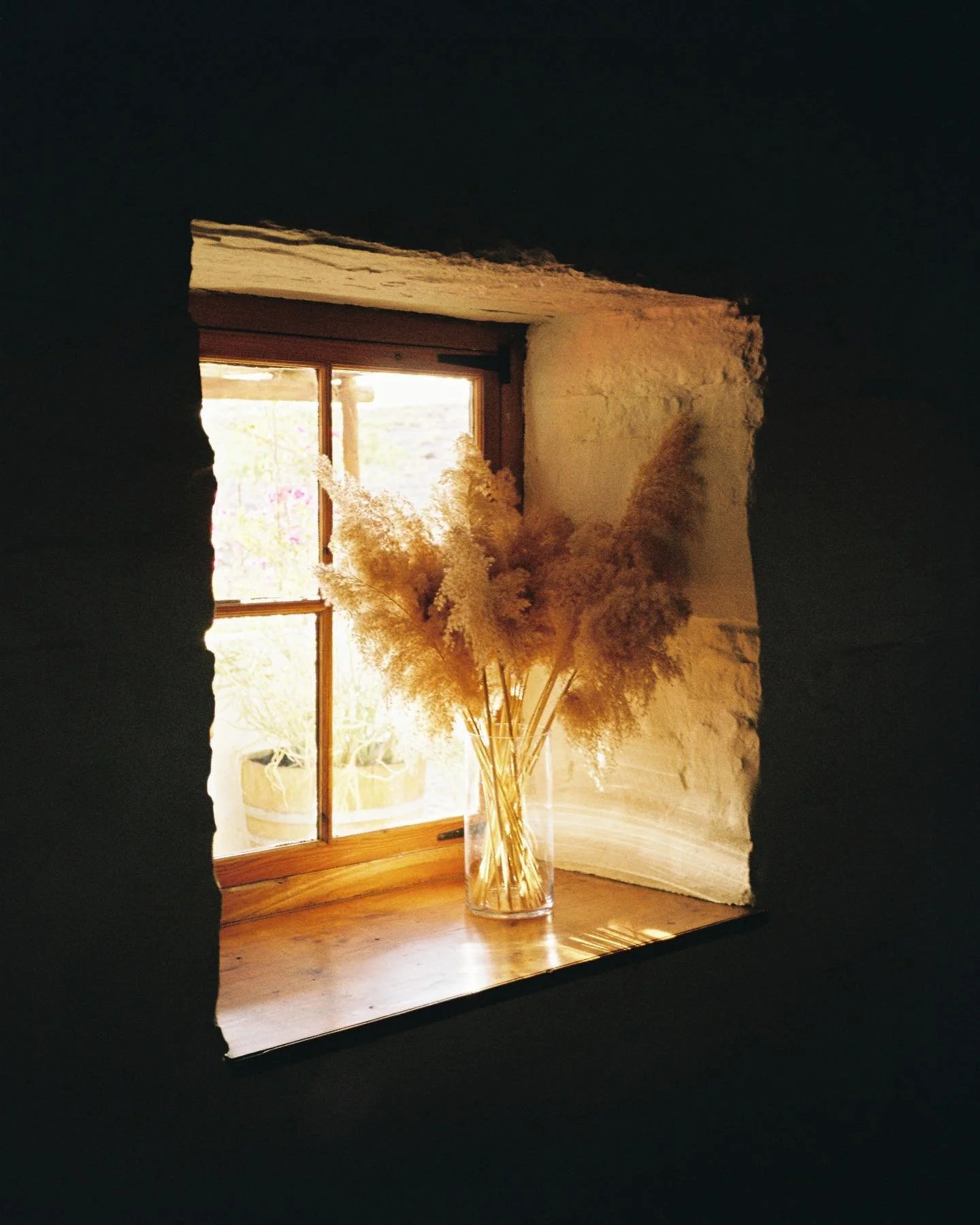 A window in the Karoo. Shot on #kodakgold200 on my #yashicat2 #staybrokeshootfilm #filmisnotdead