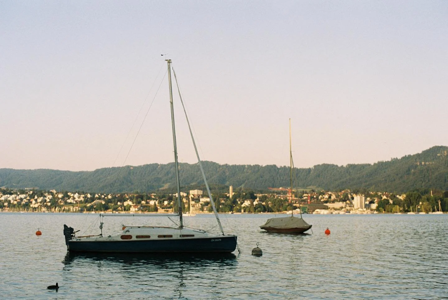 Sunrise on Lake Zurich ⛵️I had a night and a morning in Zurich on my way back to SA and spent the morning missioning around the Altstadt and swimming in the lake✨

#pentaxspotmatic #portra400 #kodakprofessional #staybrokeshootfilm #filmisnotdead