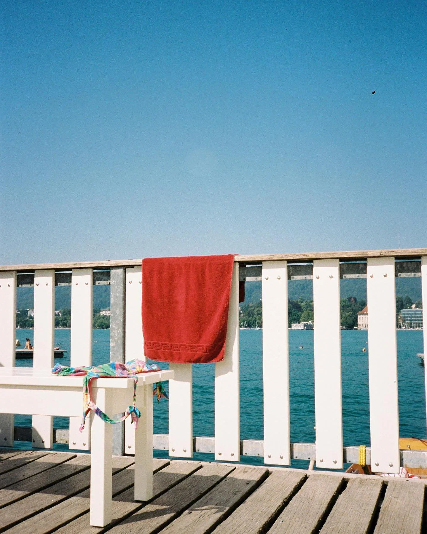 Summer in Zurich. 

#yashicat2 #portra400 #staybrokeshootfilm #filmisnotdead #kodaklosers