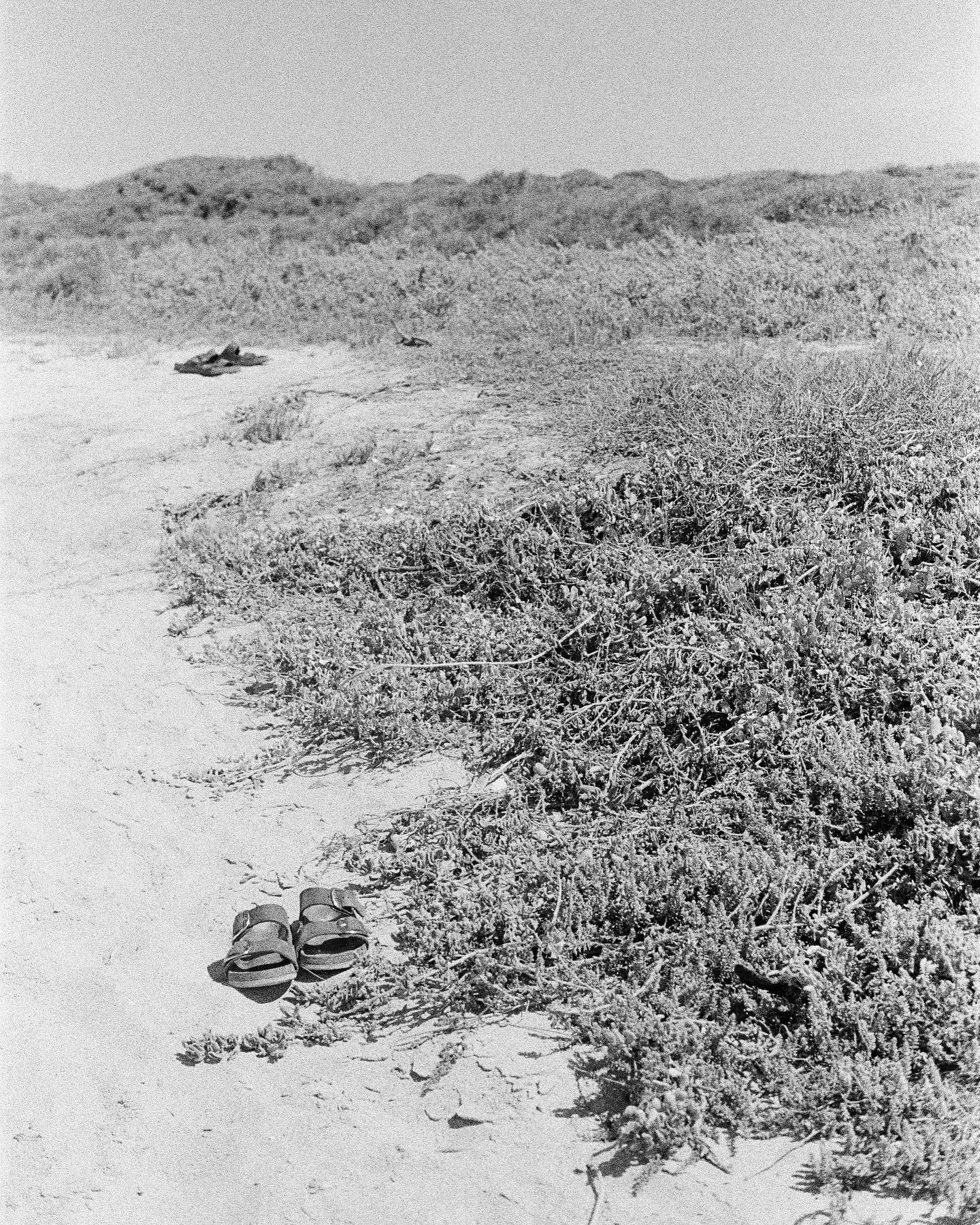 Birks on the beach. Remember to appreciate every last drop of sunlight while summer is still around!
 
#weskus #birkenstock #trix400 #staybrokeshootfilm #filmisnotdead #pentaxspotmatic