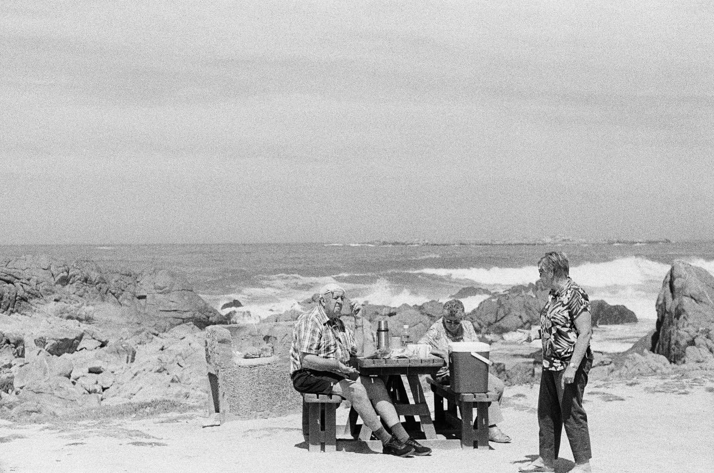 &lsquo;n Weskus piekniek. Shot at Tsaarsbank in the West Coast National Park.

#weskus #trix400 #kodaklosers #staybrokeshootfilm #filmisnotdead