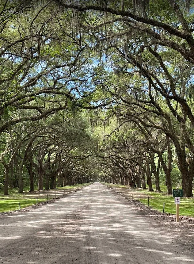 A Perfect Weekend in Savannah, Georgia: History, Eats &amp; Evening Vibes