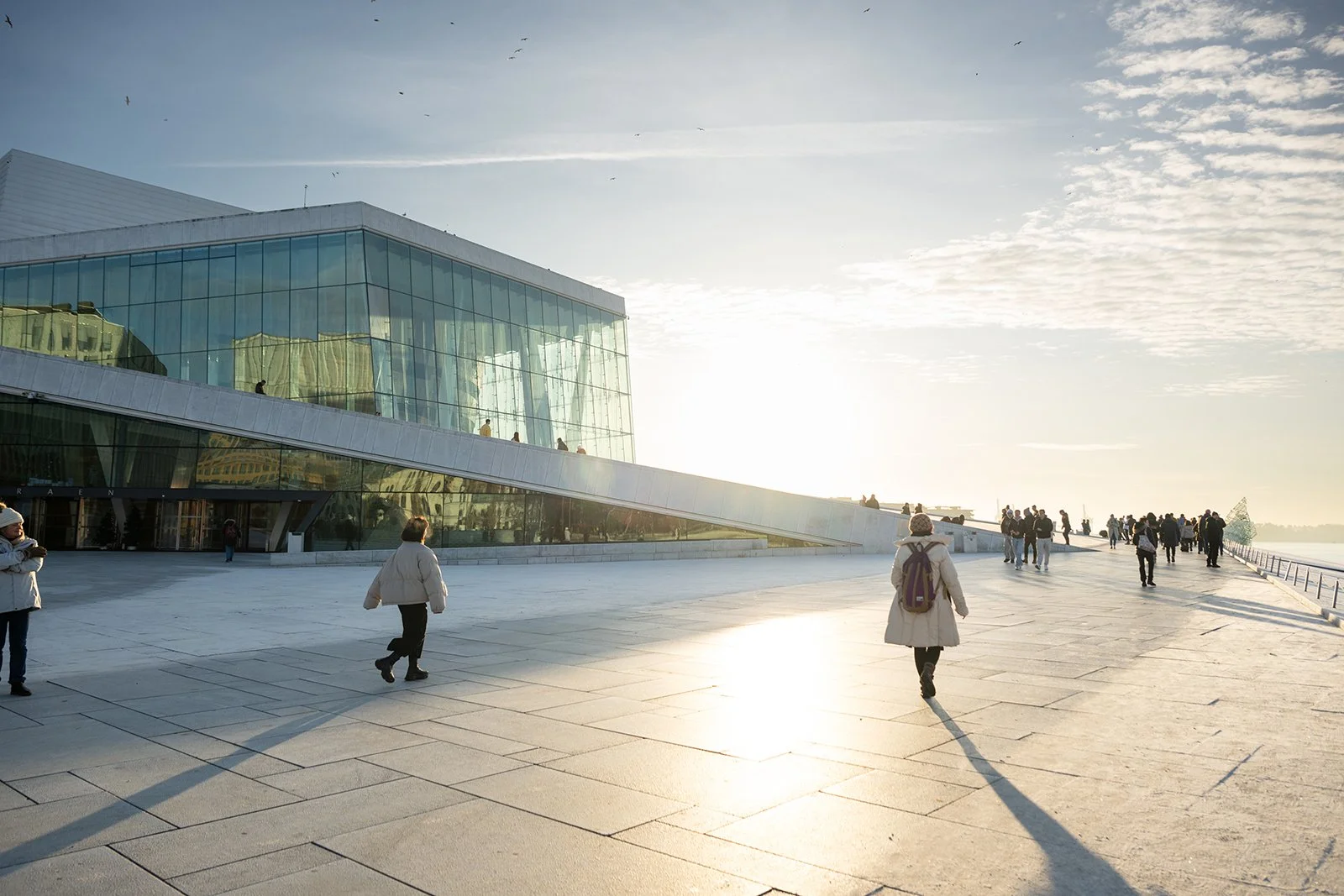 This sloping roof blurs the line between architecture and landscape, inviting citizens to treat it as an urban plaza.