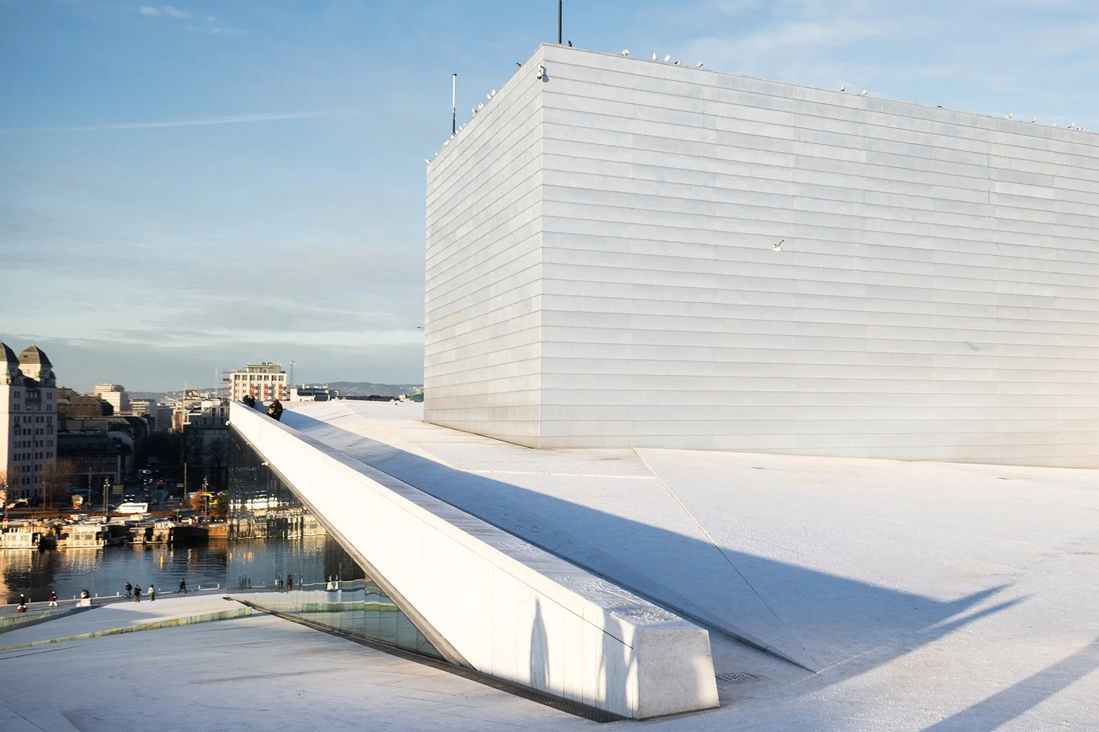 This sloping roof blurs the line between architecture and landscape, inviting citizens to treat it as an urban plaza.