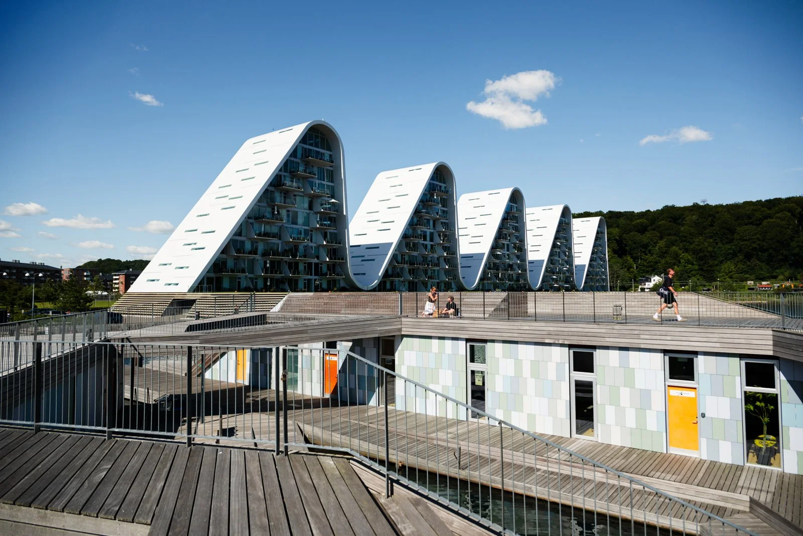 Full profile of The Wave's five wave segments from the wooden boardwalk, showcasing the rhythm against the forested background.
