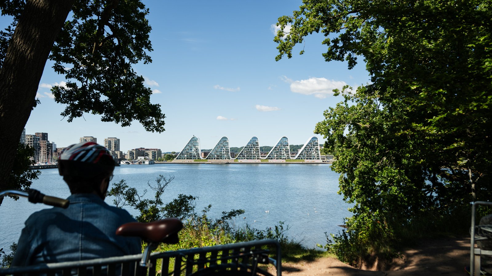 The textured foliage of trees frames the clean, white geometry of The Wave, creating an organic contrast.