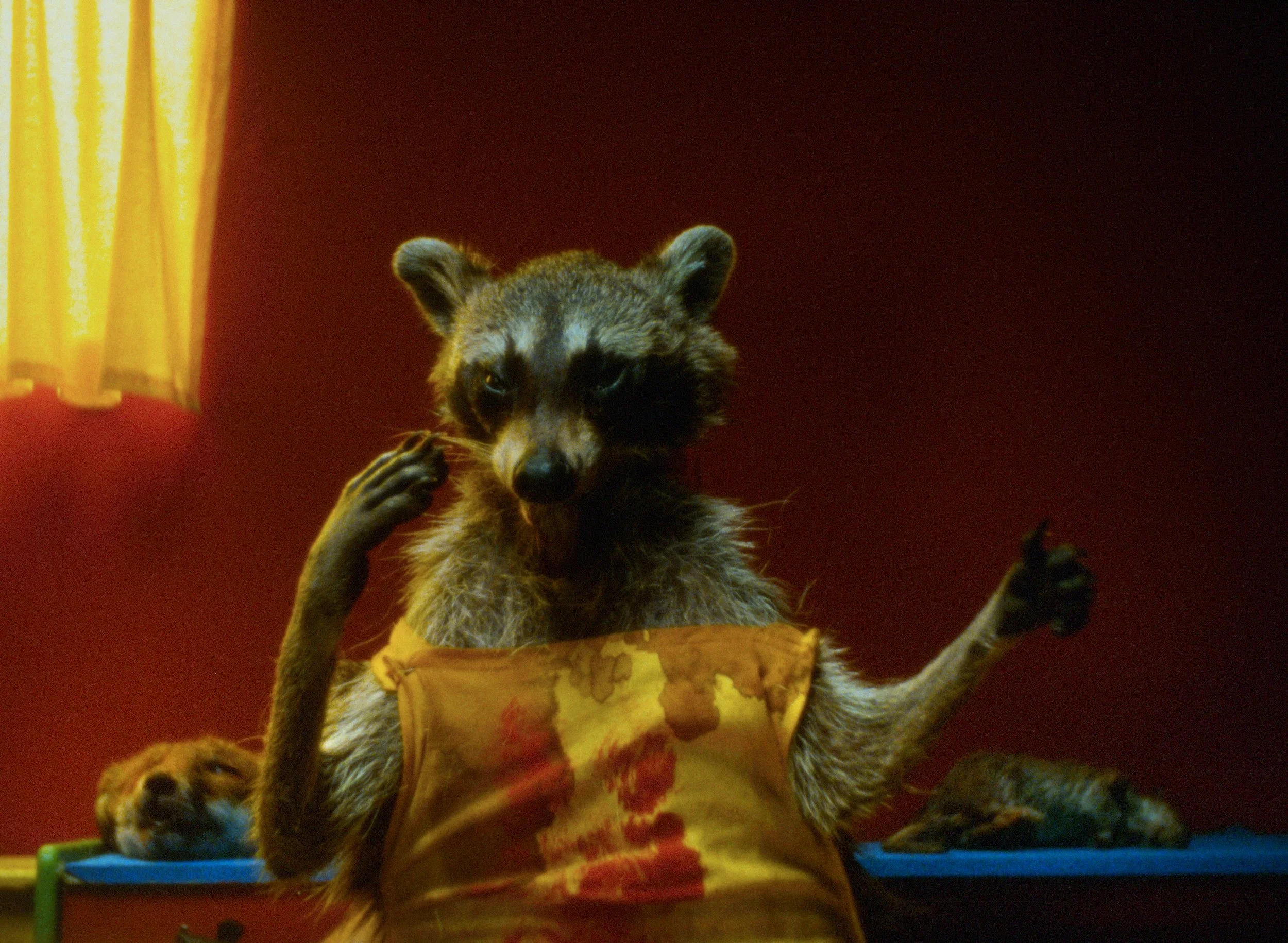 PRAYERS FOR ROADKILL