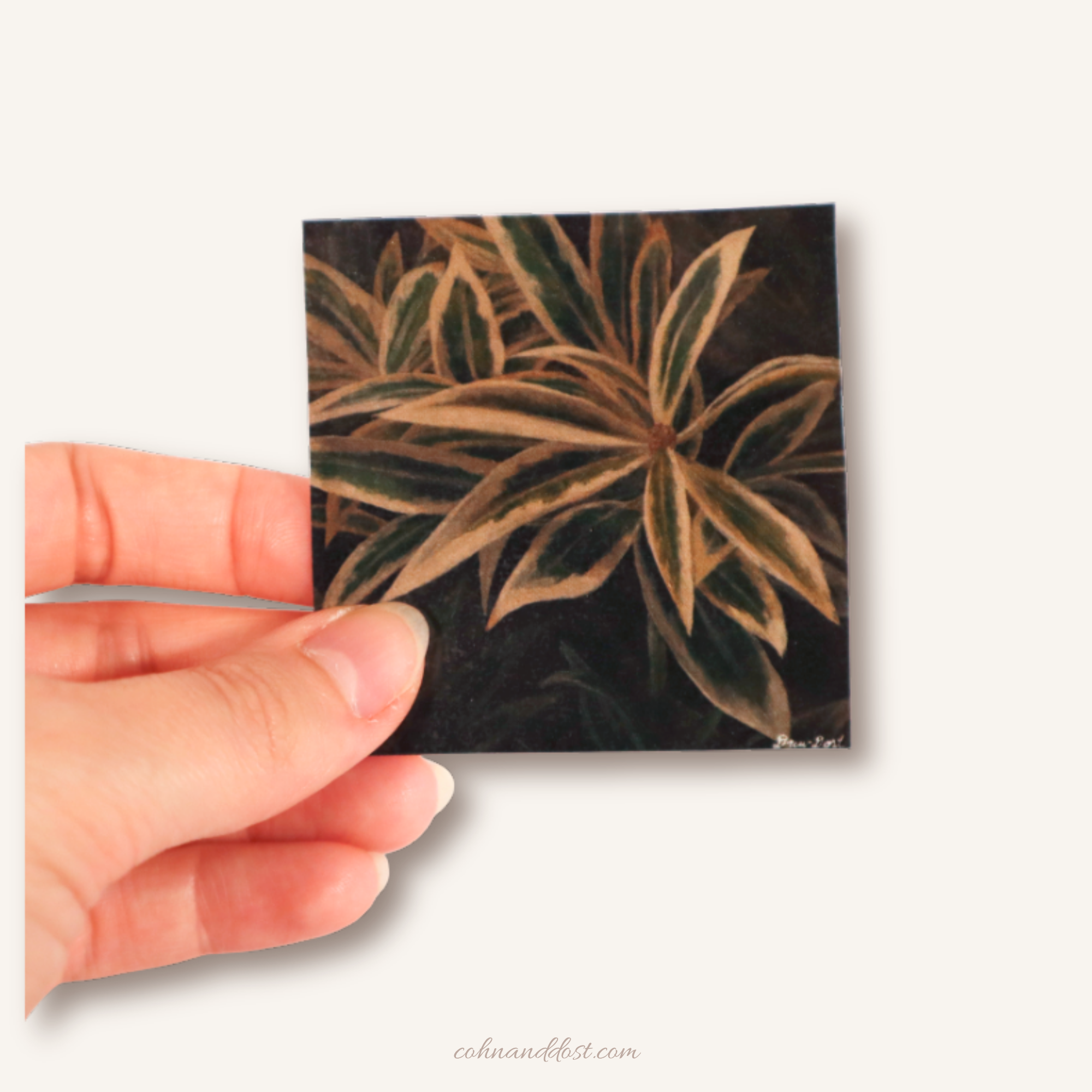 Living Shades 2.5”x2.5” Vinyl Sticker