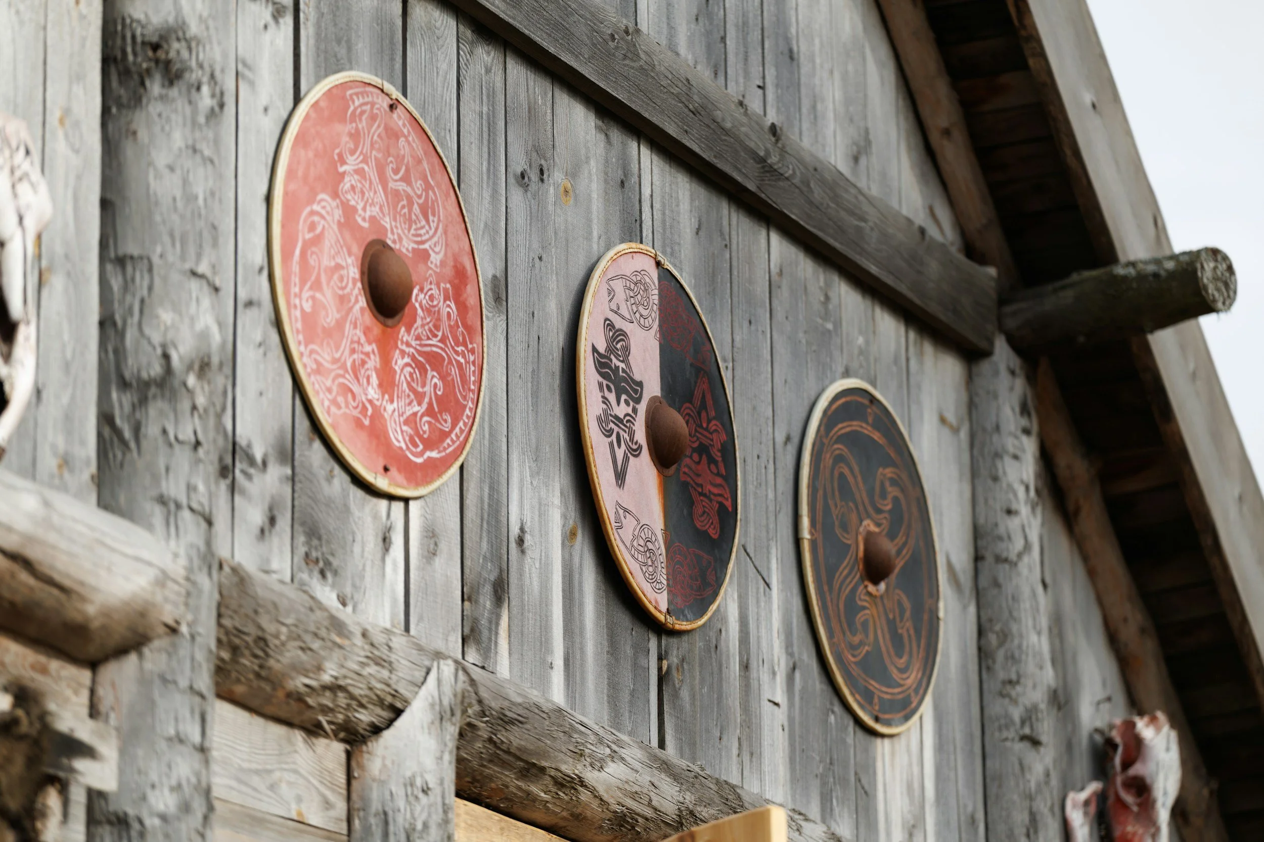 Make Your Own Viking Shields
