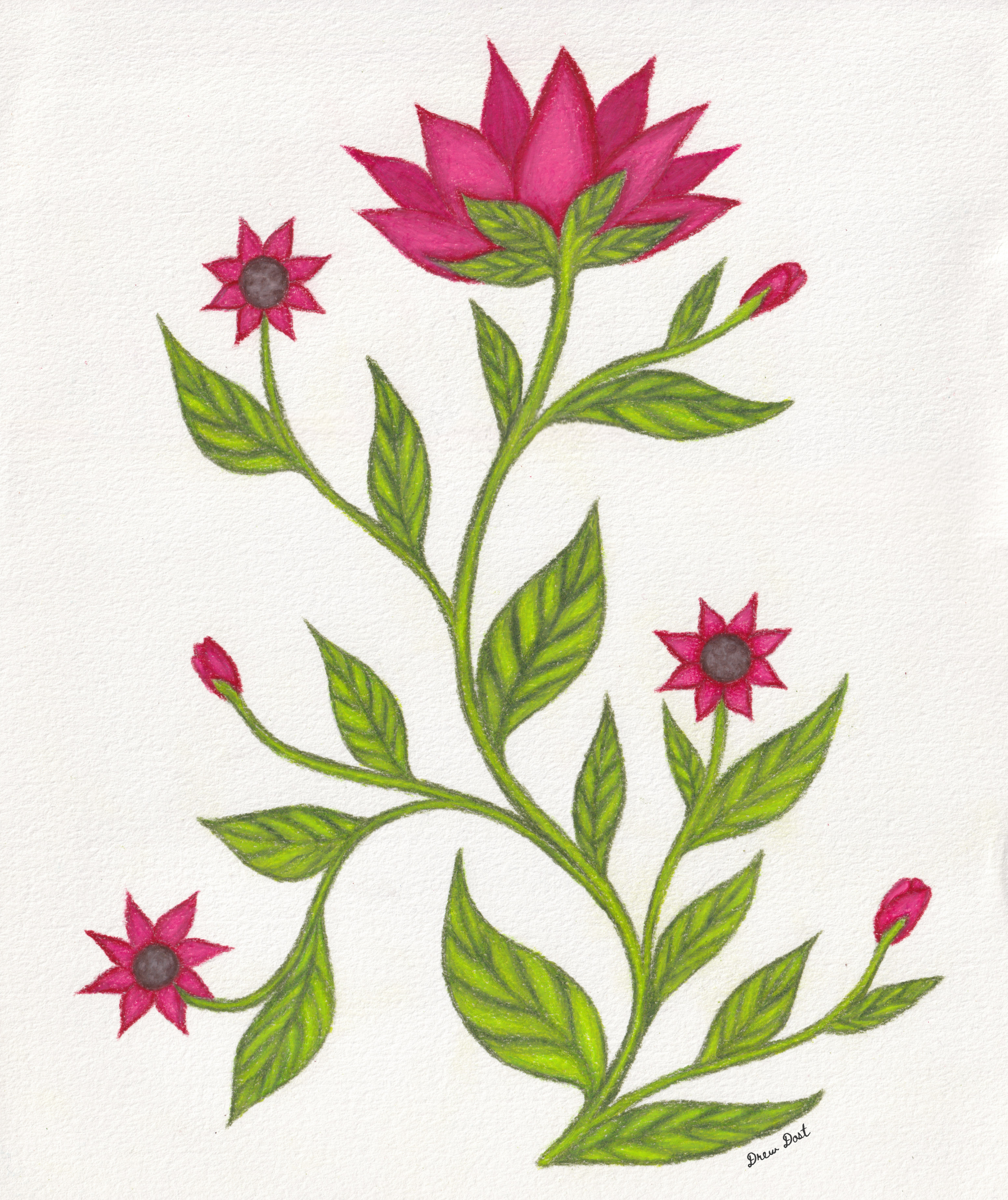 Folk Art & Illustrations