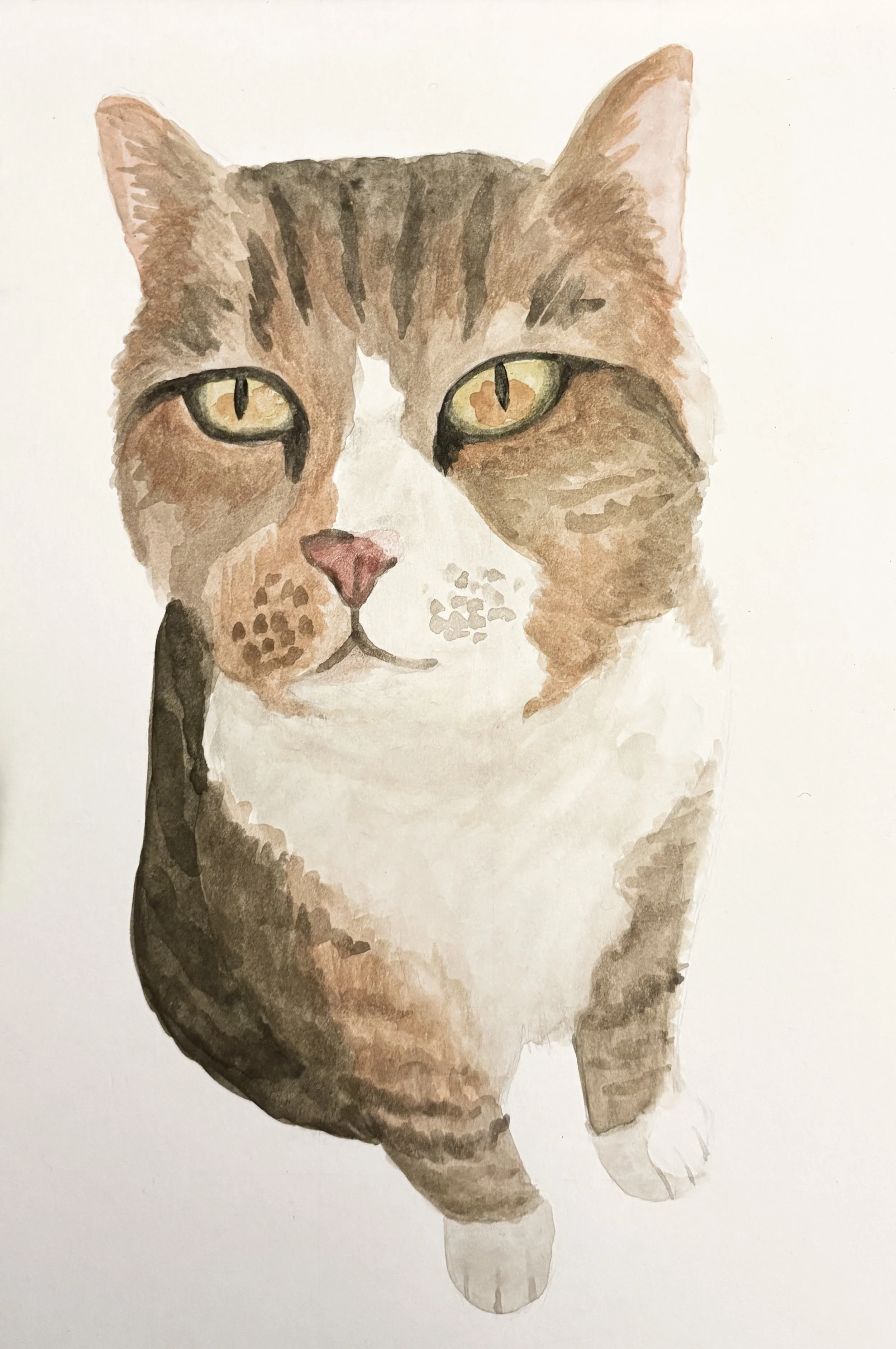 2026, 9"x12", watercolor on paper