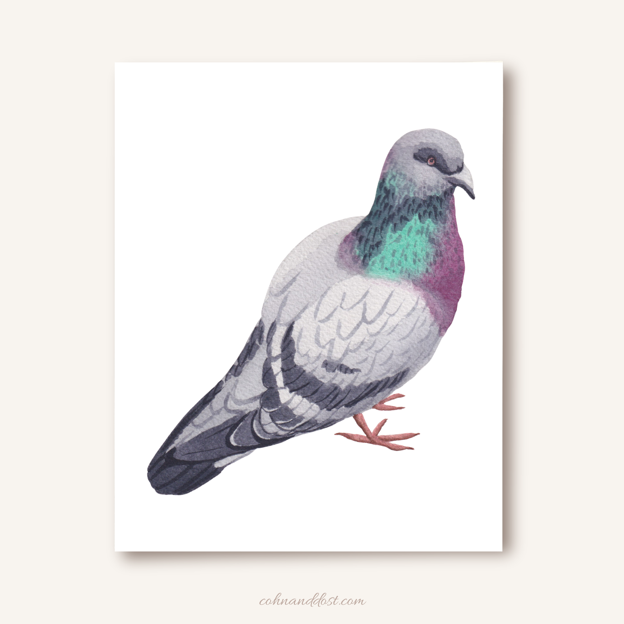Pigeon Watercolor 8"x10" Art Print