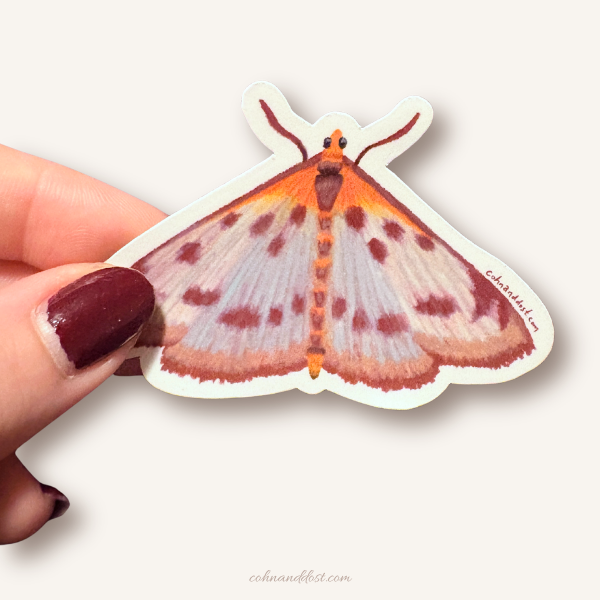 Moth 3” Vinyl Sticker