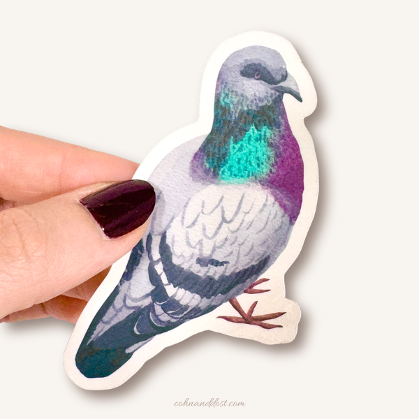 Pigeon Watercolor 3” Vinyl Sticker