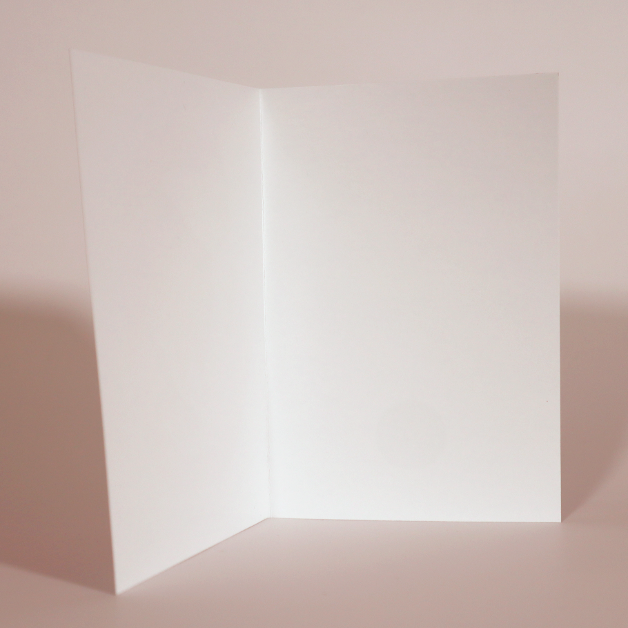 IMG_1923.png