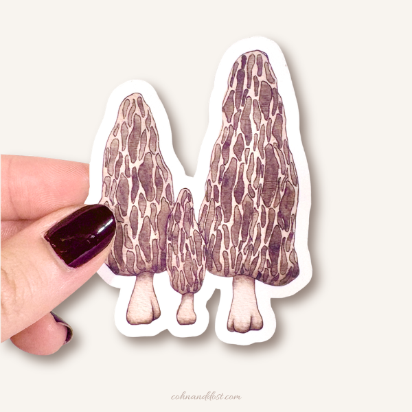 Morel Mushrooms 3” Vinyl Sticker