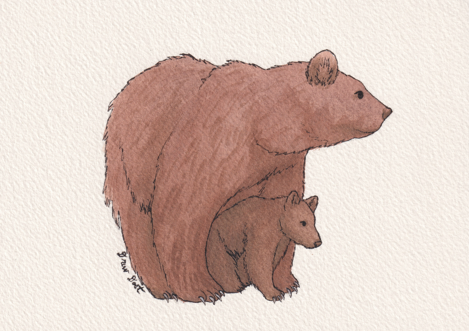 Mother Bear, watercolor and ink on paper, 7"x5", 2026