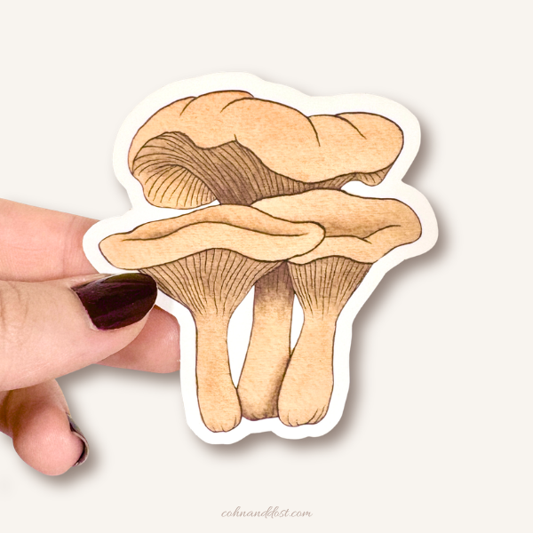 Chanterelle Mushrooms 3” Vinyl Sticker