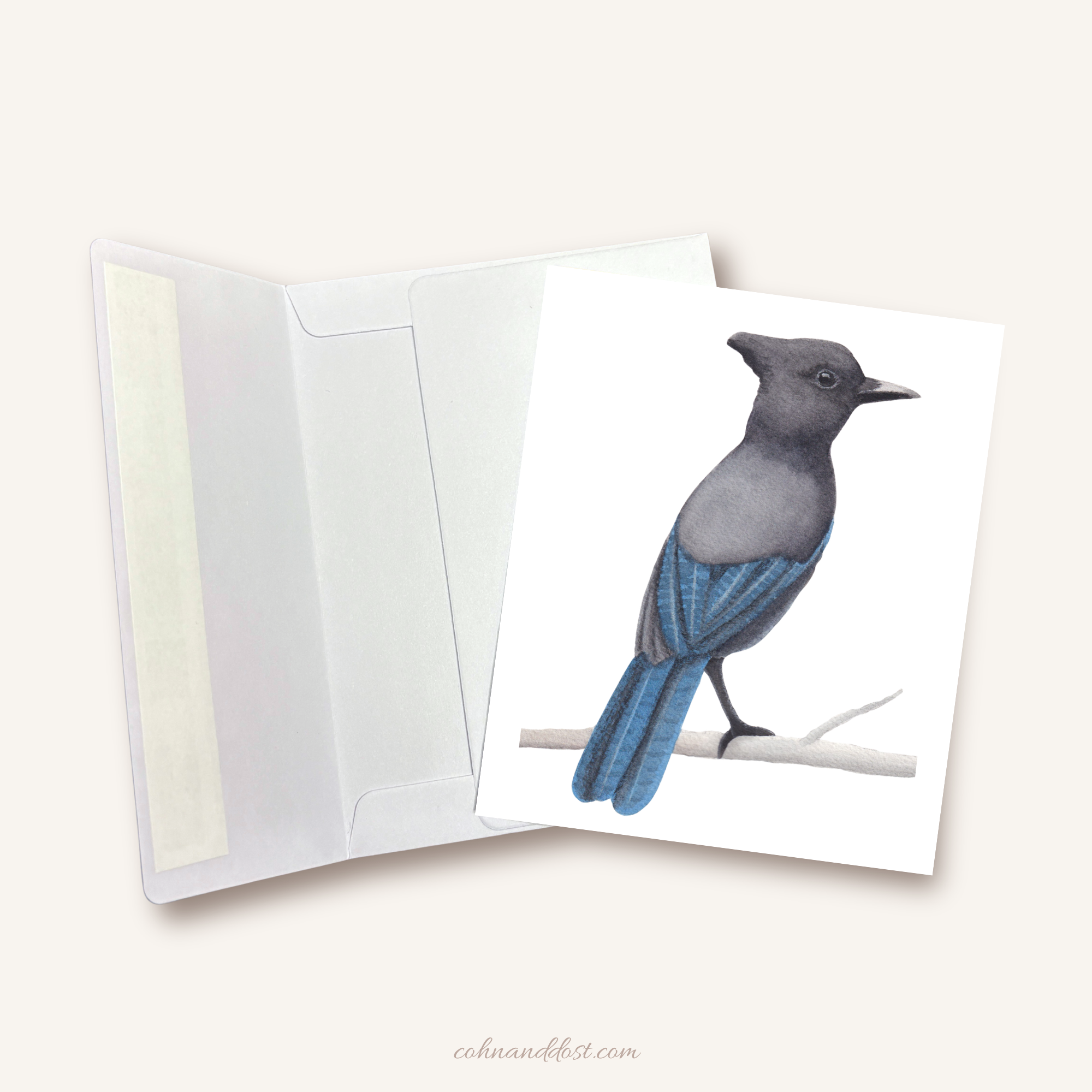 Stellar's Jay Watercolor Greeting Card
