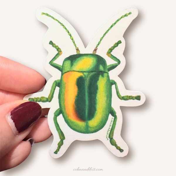 Green Beetle 3” Vinyl Sticker