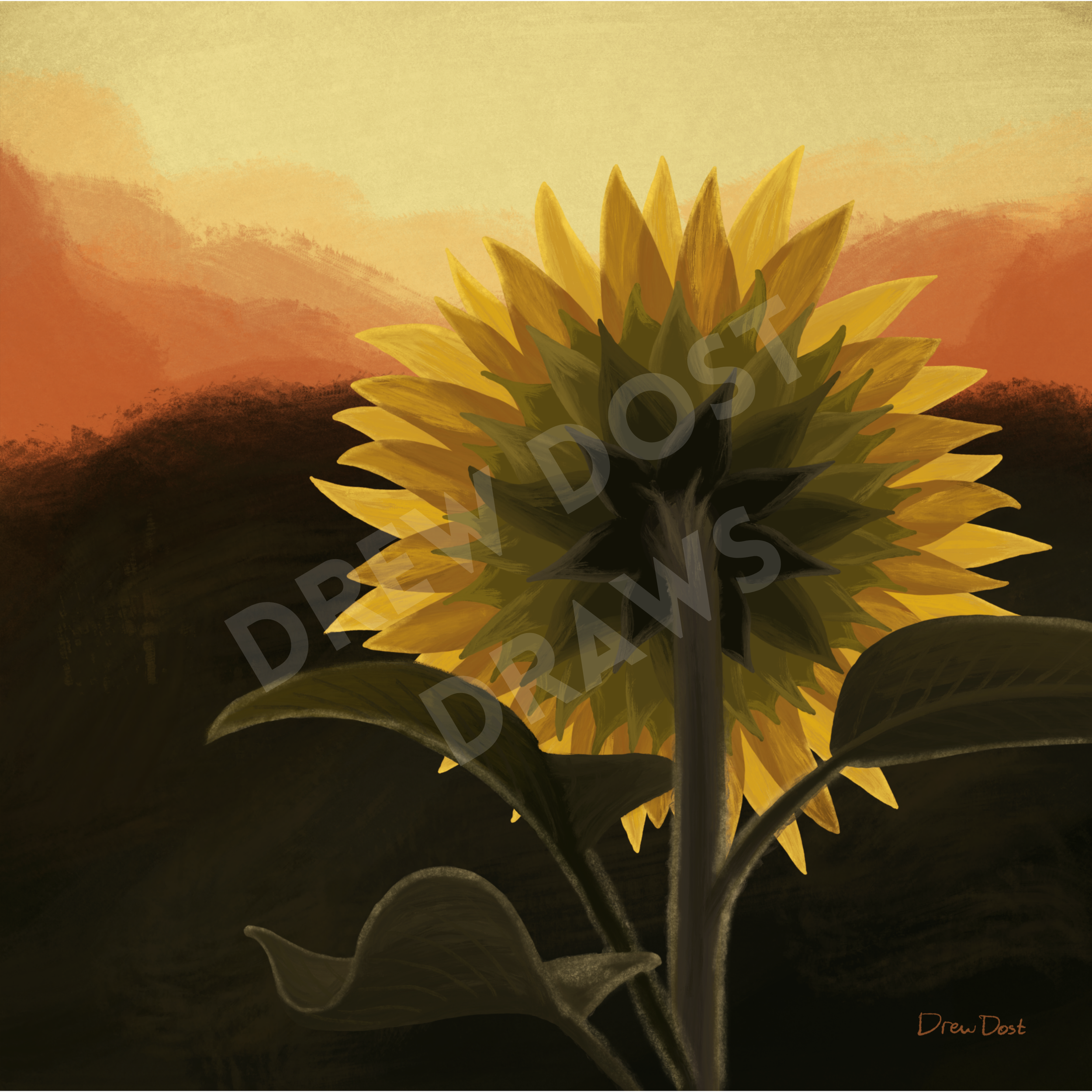 Digital Illustrations