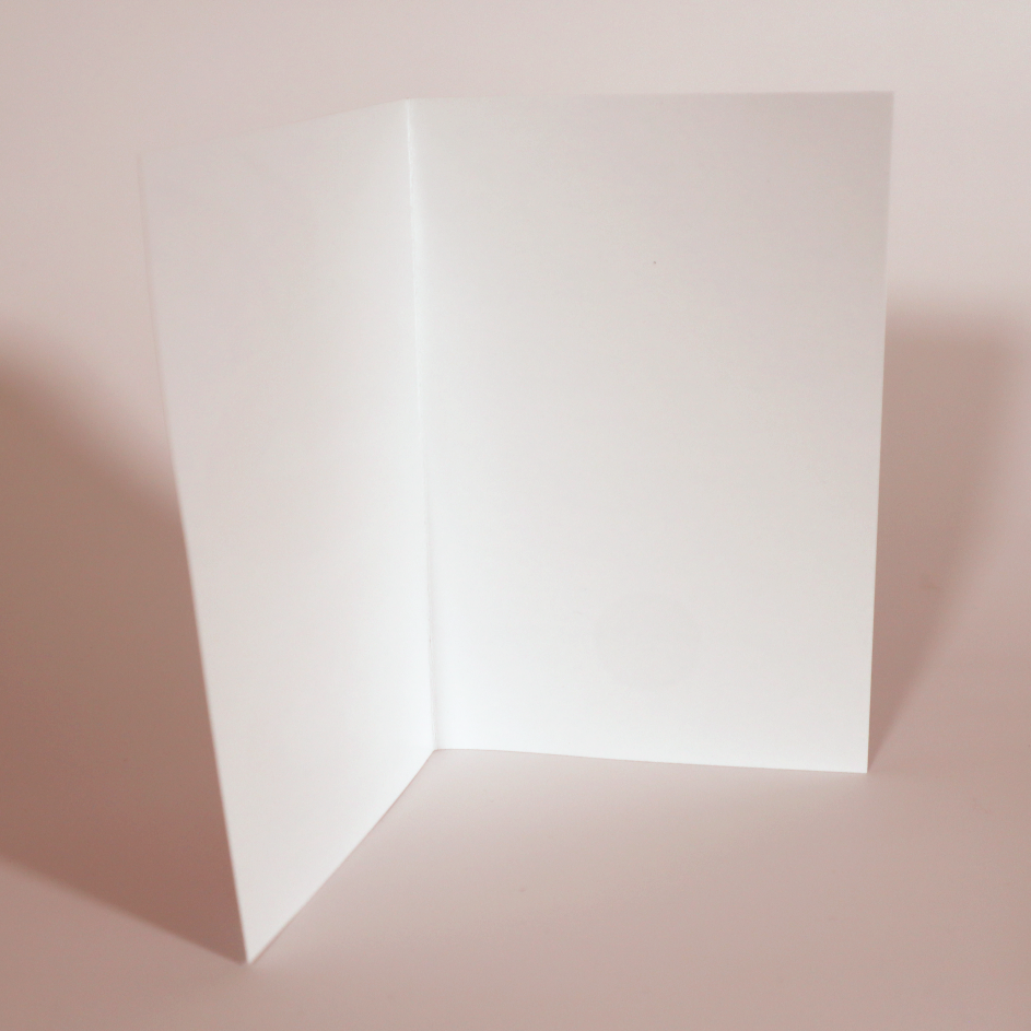 IMG_1928.png