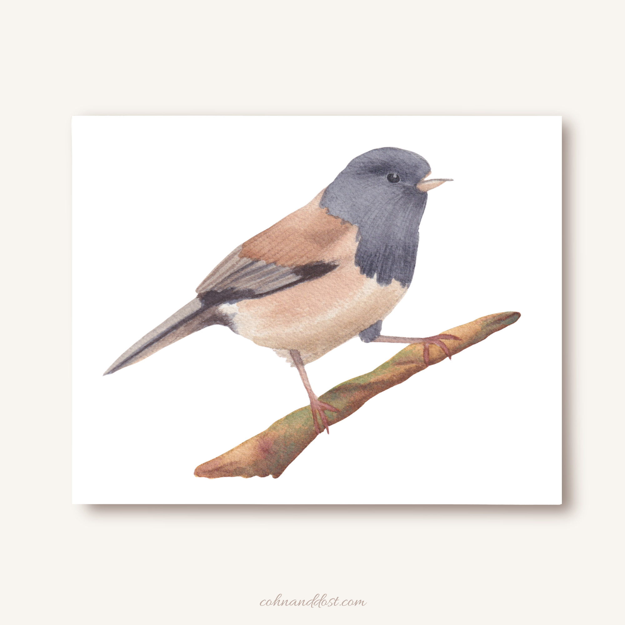 Junco Bird Watercolor 10"x8" Art Print