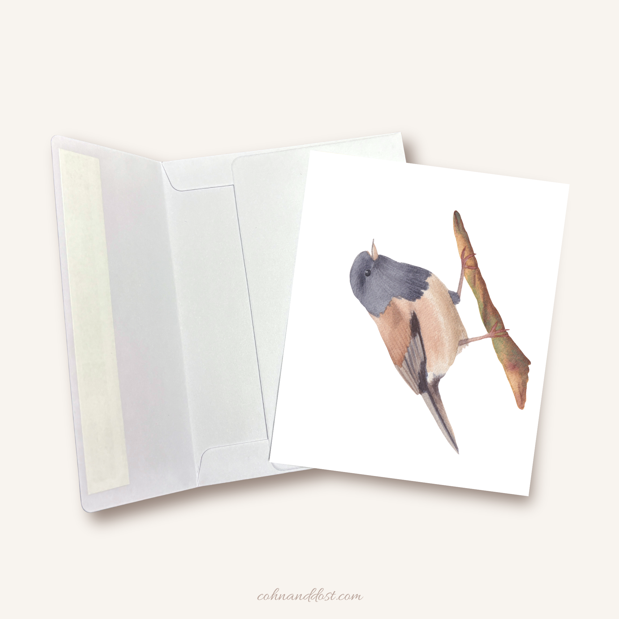 Junco Watercolor Greeting Card