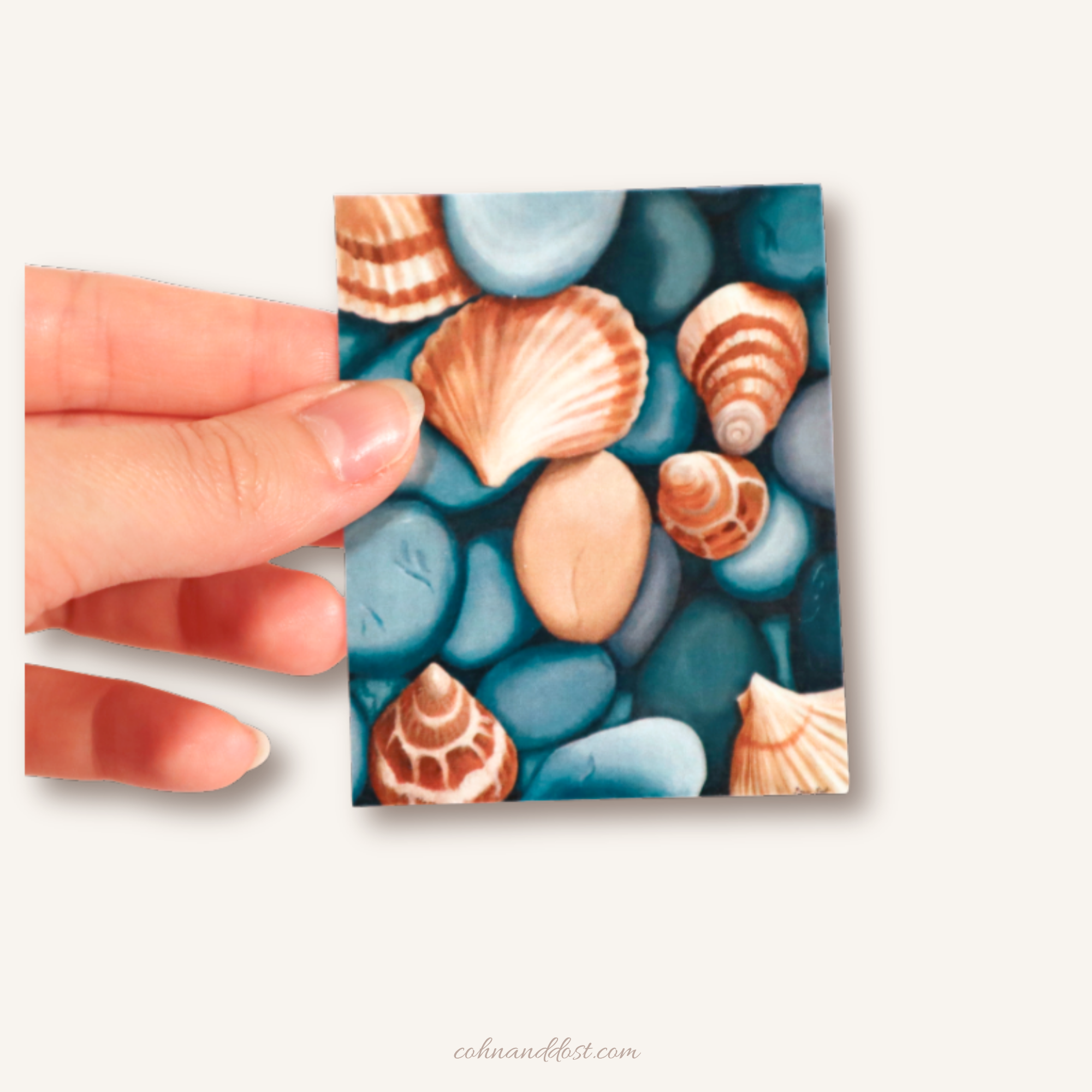 Coastal Keepsakes 2.4”x3” Vinyl Sticker