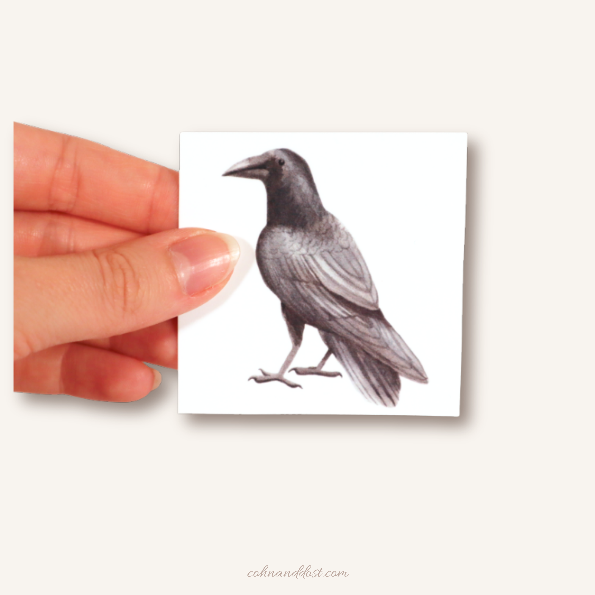 Watercolor Crow 2.5”x2.5” Vinyl Sticker