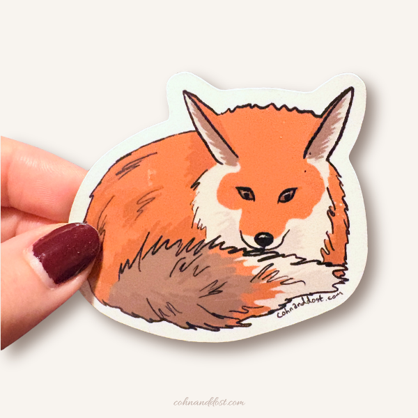 Curled Fox 2.75” Vinyl Sticker