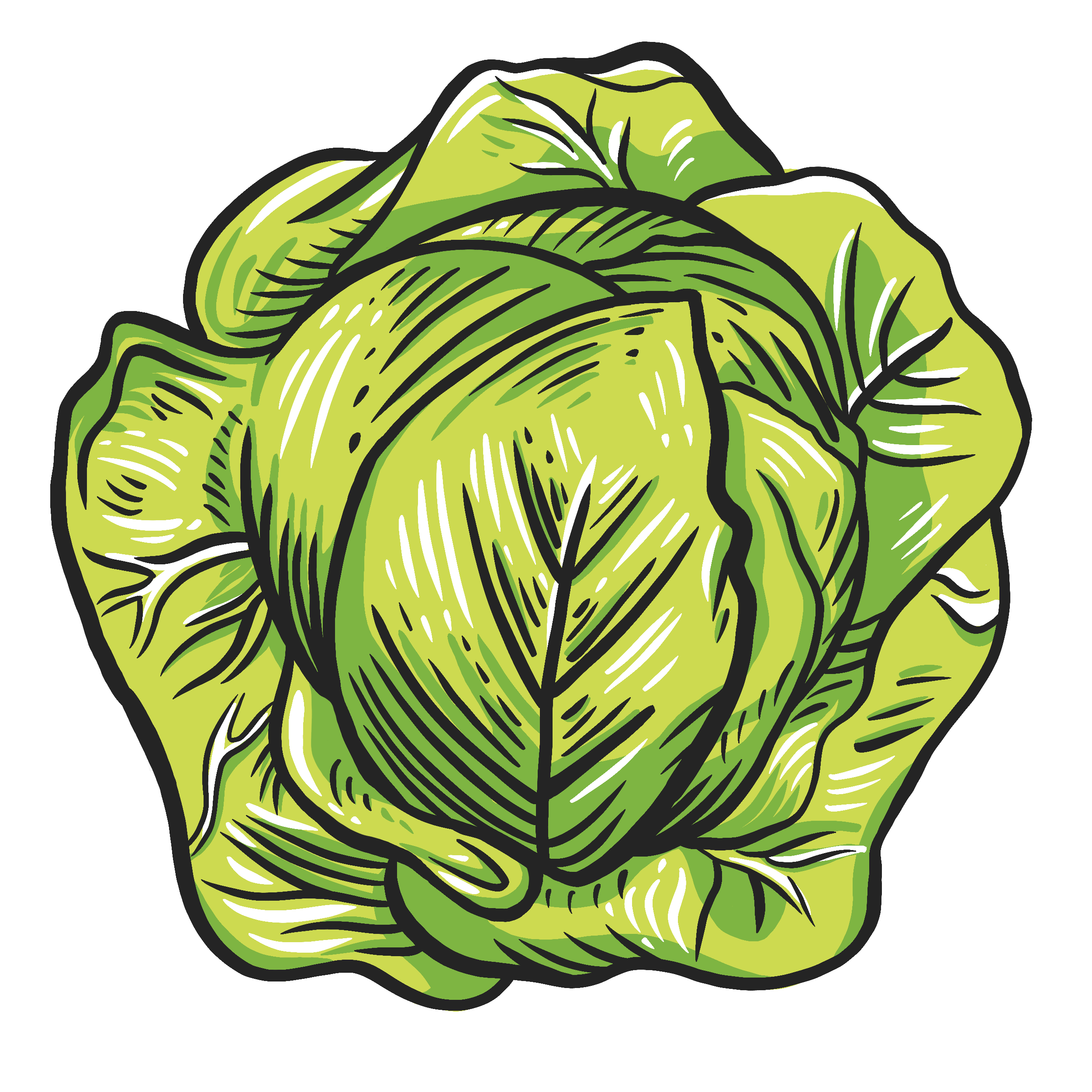 Cabbage Logo, digital illustration